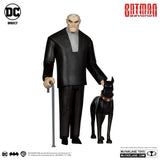 Mcfarlane Toys DC Direct - Bruce Wayne & Ace (Batman Beyond) GOLD LABEL - SDCC EXCLUSIVE