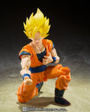 Tamashii Nations S.H.FIGUARTS Dragon Ball Z Android 20