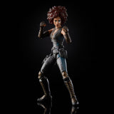 Hasbro Marvel Legends X-Men 20th Anniversary Marvel's Domino