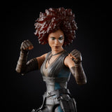 Hasbro Marvel Legends X-Men 20th Anniversary Marvel's Domino