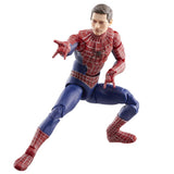 Hasbro Marvel Legends Friendly Neighborhood Spider-Man