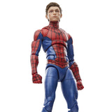 Hasbro Marvel Legends Series Spider-Man