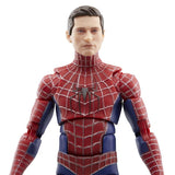 Hasbro Marvel Legends Friendly Neighborhood Spider-Man