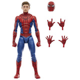 Hasbro Marvel Legends Series Spider-Man