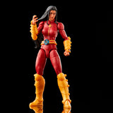 Hasbro Marvel Legends X-Men Monet St. Croix (Ch'od BAF)