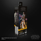 Hasbro Star Wars The Black Series MagnaGuard