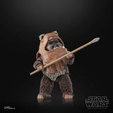 Hasbro Star Wars The Black Series Wicket W. Warrick
