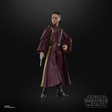 Hasbro Star Wars The Black Series Padmé Amidala