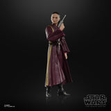 Hasbro Star Wars The Black Series Padmé Amidala