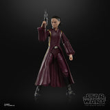 Hasbro Star Wars The Black Series Padmé Amidala