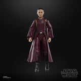 Hasbro Star Wars The Black Series Padmé Amidala