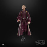 Hasbro Star Wars The Black Series Padmé Amidala