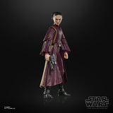Hasbro Star Wars The Black Series Padmé Amidala