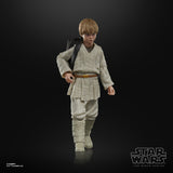 Hasbro Star Wars The Black Series Anakin Skywalker