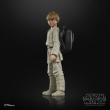 Hasbro Star Wars The Black Series Anakin Skywalker