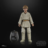 Hasbro Star Wars The Black Series Anakin Skywalker