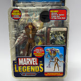 2006 Toy Biz Marvel Legends Lady Deathstrike (Onslaught Series)