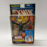 2006 Toy Biz Marvel Legends Havok (Giant Man Series)