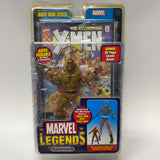 2006 Toy Biz Marvel Legends Sabretooth (Age of Apocalypse) (Giant Man Series)