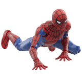 Hasbro Marvel Legends Series Spider-Man