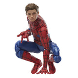 Hasbro Marvel Legends Series Spider-Man