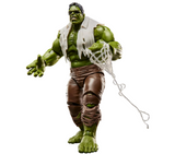 Hasbro Marvel Legends Spider-Man Brand New Day Hulk