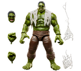 Hasbro Marvel Legends Spider-Man Brand New Day Hulk