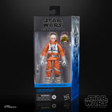 Hasbro Star Wars Black Series Luke Skywalker (Snowspeeder) (Empire Strikes Back)