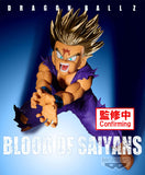 Banpresto Dragon Ball Z Blood of Saiyans Special XI Gohan