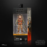 Hasbro Star Wars The Mandalorian Black Series Kuiil