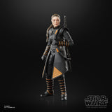Hasbro Star Wars The Black Series Fennec Shand