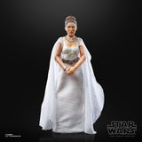 Hasbro Star Wars The Black Series Princess Leia Organa (Yavin 4)