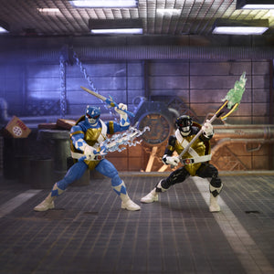 Hasbro Power Rangers X Teenage Mutant Ninja Turtles Lightning Collection Morphed Donatello and Morphed Leonardo