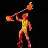 Hasbro Marvel Legends Series Firelord