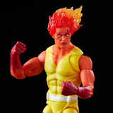 Hasbro Marvel Legends Series Firelord