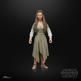 Hasbro Star Wars The Black Series Princess Leia (Ewok Village)
