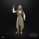 Hasbro Star Wars The Black Series Princess Leia (Ewok Village)