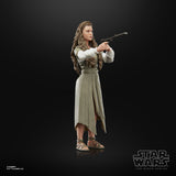 Hasbro Star Wars The Black Series Princess Leia (Ewok Village)