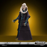 Hasbro Star Wars The Vintage Collection Bib Fortuna