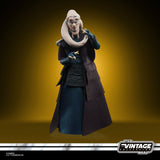 Hasbro Star Wars The Vintage Collection Bib Fortuna
