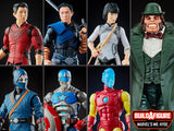 Hasbro Marvel Legends Shang-Chi Wave 1 Set (Marvel's Mr. Hyde BAF)