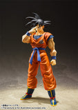 Tamashii Nations S.H.FIGUARTS Dragon Ball Z Son Goku -A Saiyan Raised On Earth-
