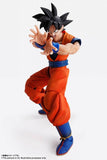 Tamashii Nations IMAGINATION WORKS Dragon Ball Z Son Goku