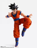 Tamashii Nations IMAGINATION WORKS Dragon Ball Z Son Goku