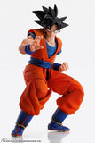 Tamashii Nations IMAGINATION WORKS Dragon Ball Z Son Goku